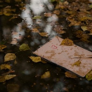 Broken Hearts