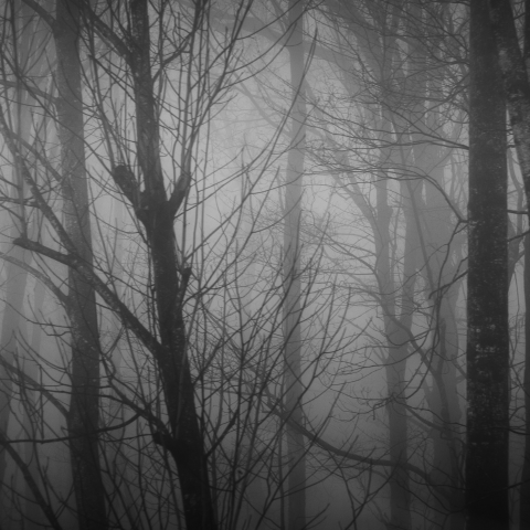 The Unknown