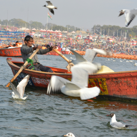 The MahaKumbh Festival