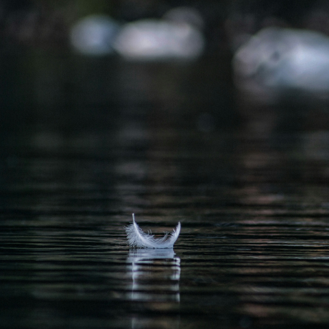 The Quiet