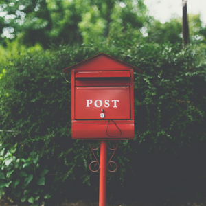 Unsent Letter Written Too Late