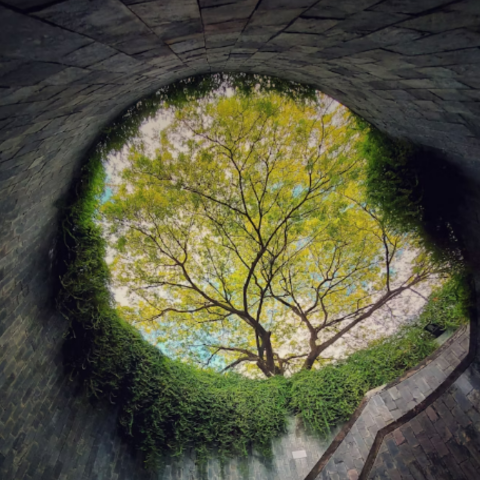 Beneath The Surface