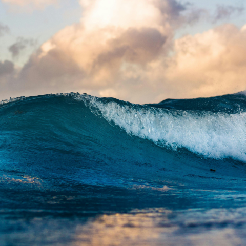 Oceanic Flow of Human Life
