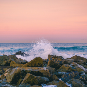 The Sea and The Coast