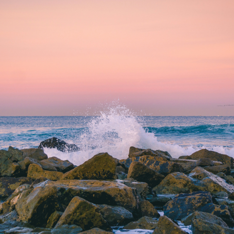 The Sea and The Coast