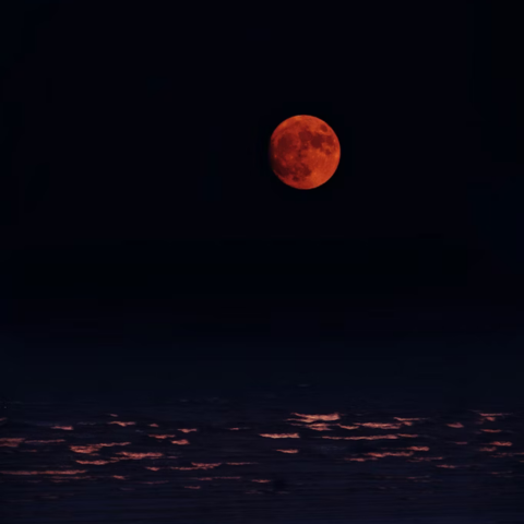অন্ধকার প্রেম