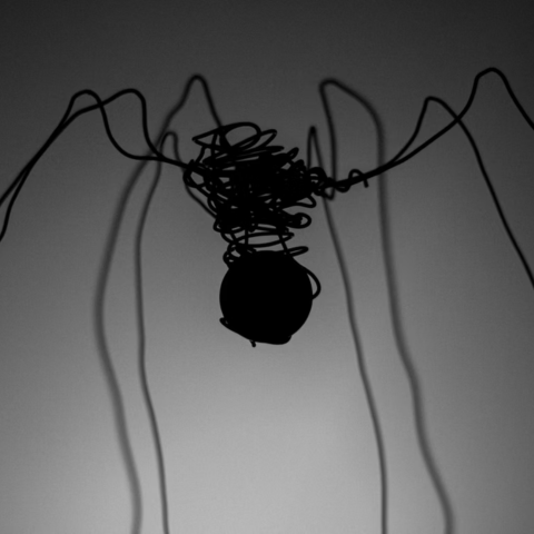 Strings