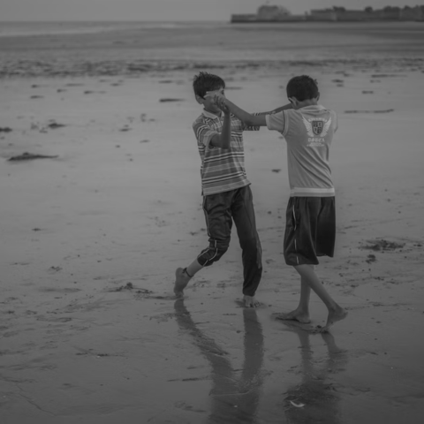 Brothers at War