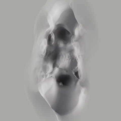 Ghost in the Belly