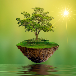 Environment - Acrostic Poem