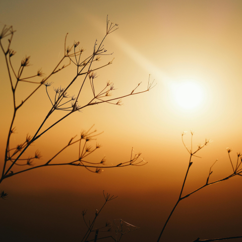 जिंदगी एक आशिक