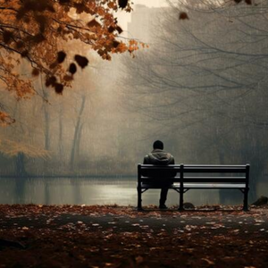 In the solitude of a Park Bench