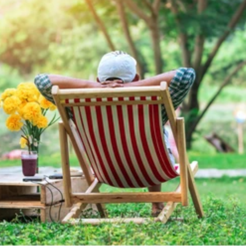 Sunny summer sunday
