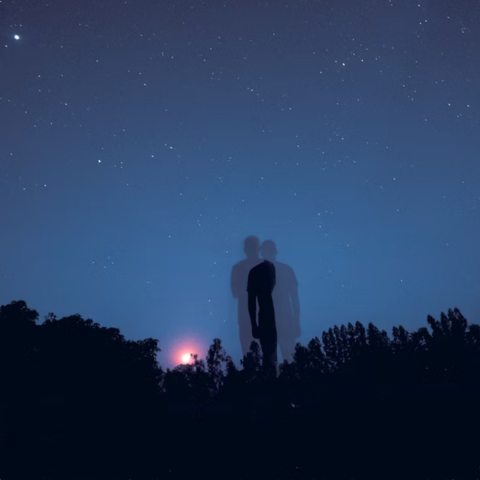 The Dark