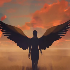 In My Wings