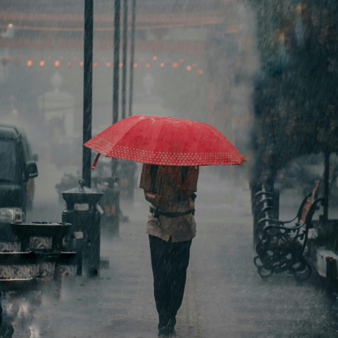 Rain