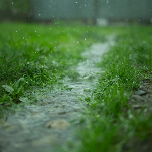 Drizzle