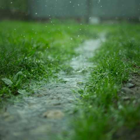 Drizzle