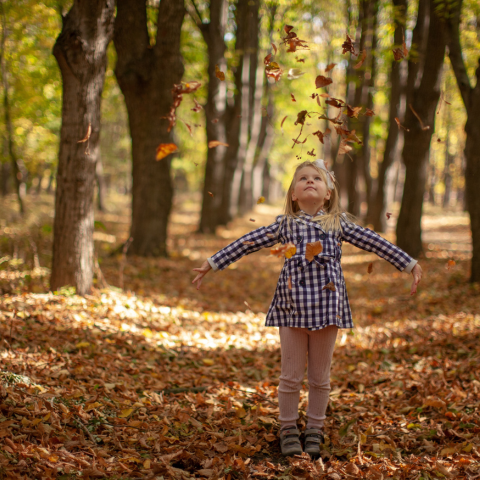 The Falling Leaves