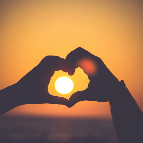 The Multifarious Love
