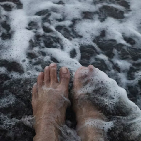 The Tide