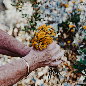 My Grandmother's Hands