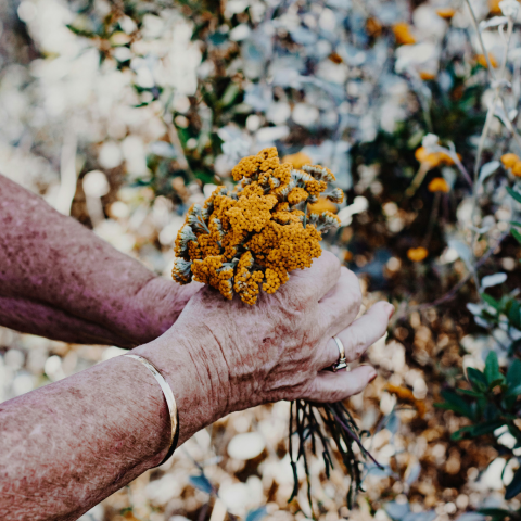 My Grandmother's Hands
