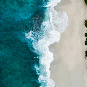 To See the Sea