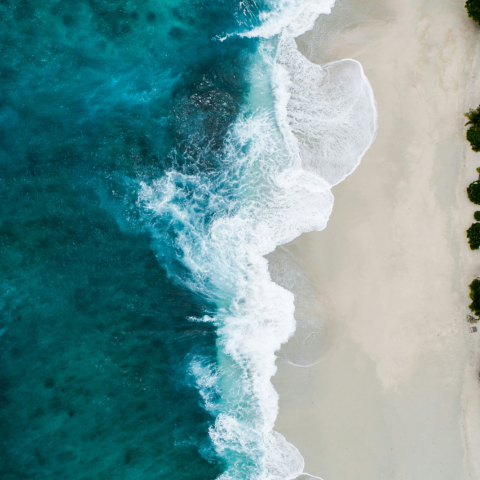 To See the Sea