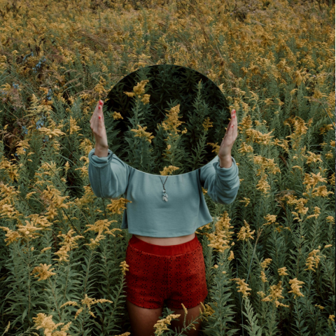 Canvases and Mirrors