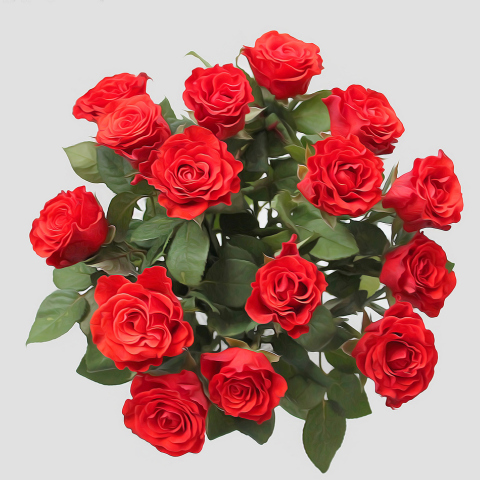 Red Roses And Chrysanthemums