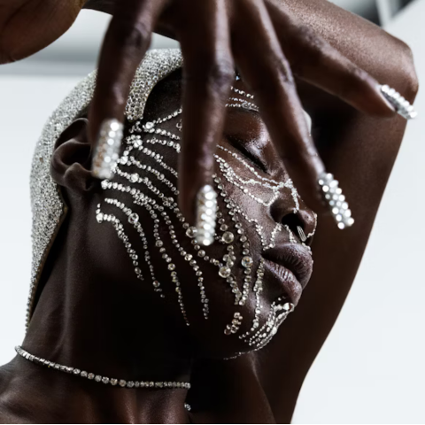 The Jewels They Wore