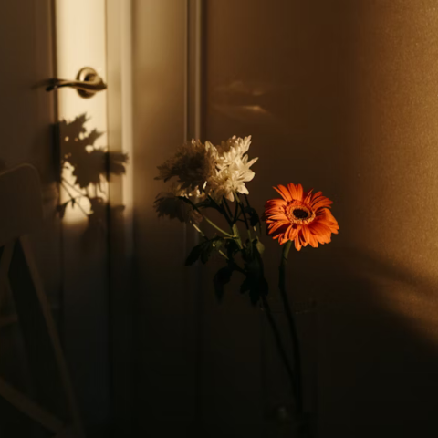 Fragments of Us