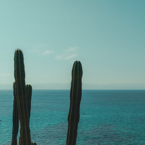 A body of water
