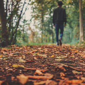 The Fall