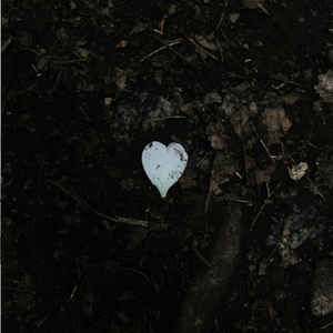 Lament of a Lonely Heart