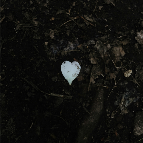 Lament of a Lonely Heart