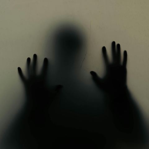 DEAR ILLNESS (A schizophrenic account)