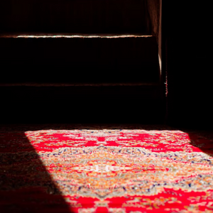 The Carpet