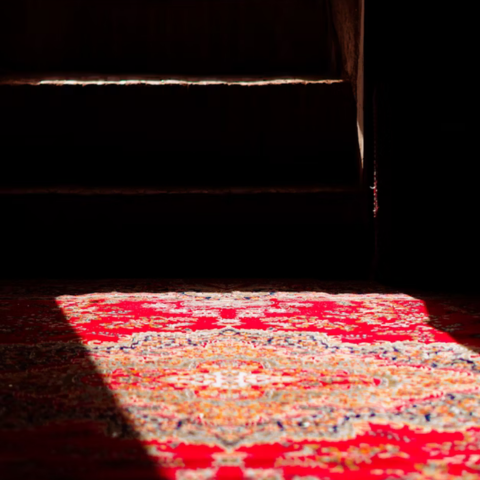 The Carpet
