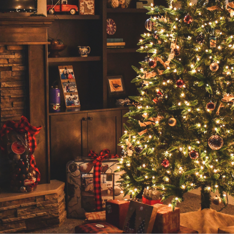 The Magic of Christmas!