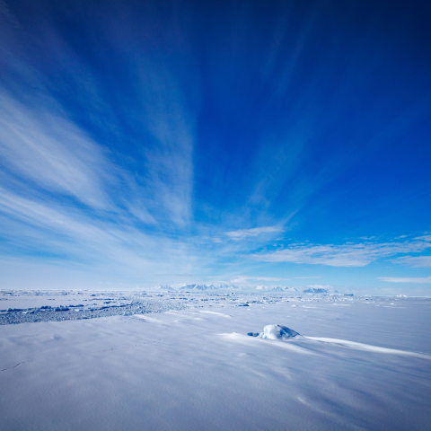 Blues in the Sky