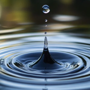 A Drop Of Water