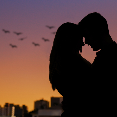 LIMERENCE