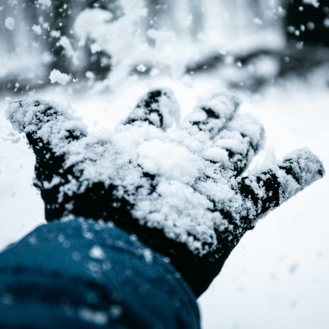 Snowfall