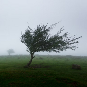 Air as an Incomplete Science