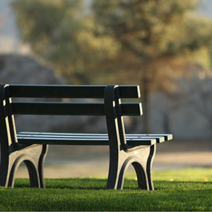 The Bench