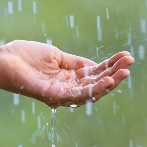 how could i hate the rain in the first place?