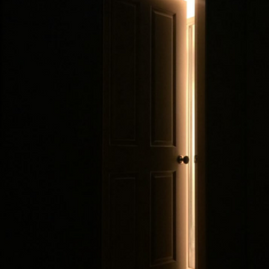 Light of Plight