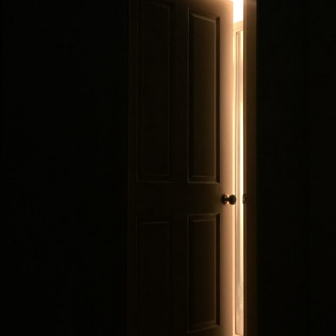 Light of Plight